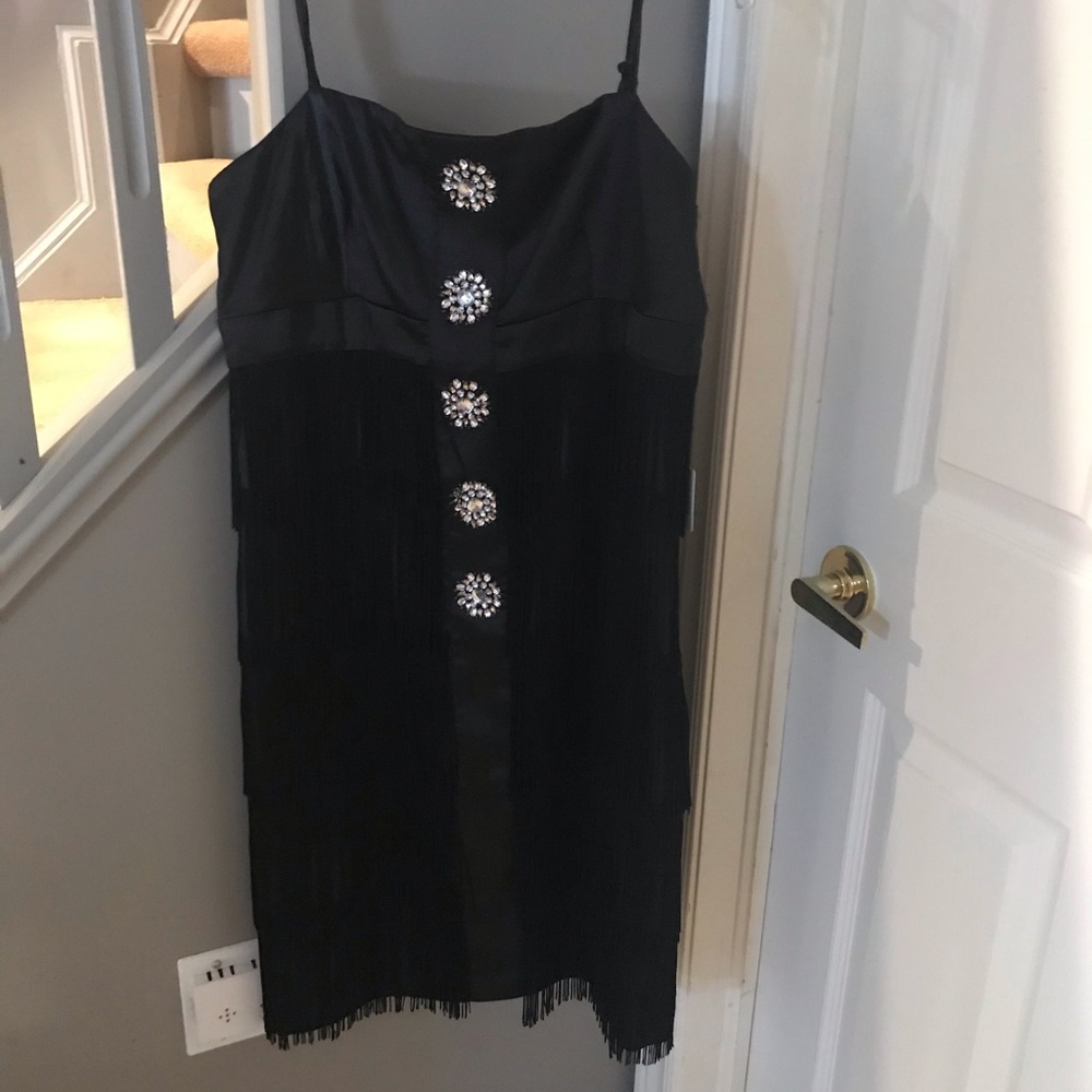 Flapper gorgeous dress.